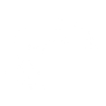 ®_20250219_080411_0000